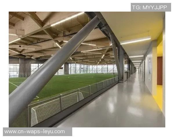 室内足球场材料选择指南与应用分析助你打造完美运动空间 室内足球场材料选择指南与应用分析助你打造完美运动空间